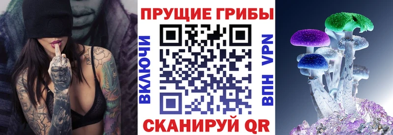 Псилоцибиновые грибы GOLDEN TEACHER Верещагино